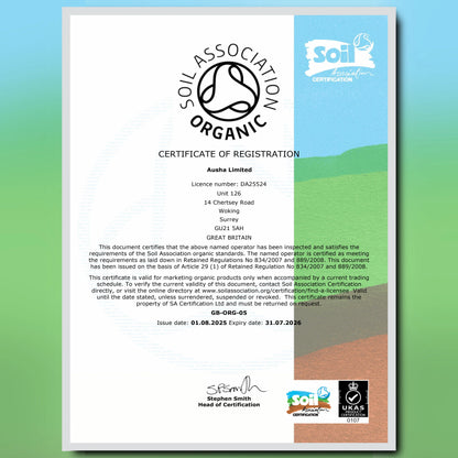 Organic Cacao Nibs