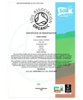organic ceremonial cacao paste buy online