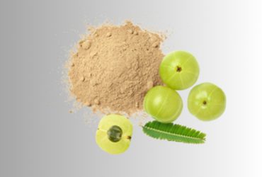 Amla Powder